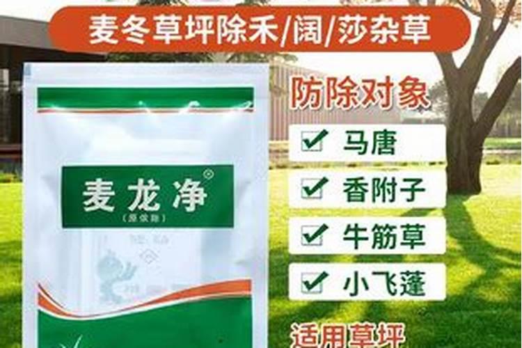 矮麦冬草坪的种植与养护注意事项有哪些？