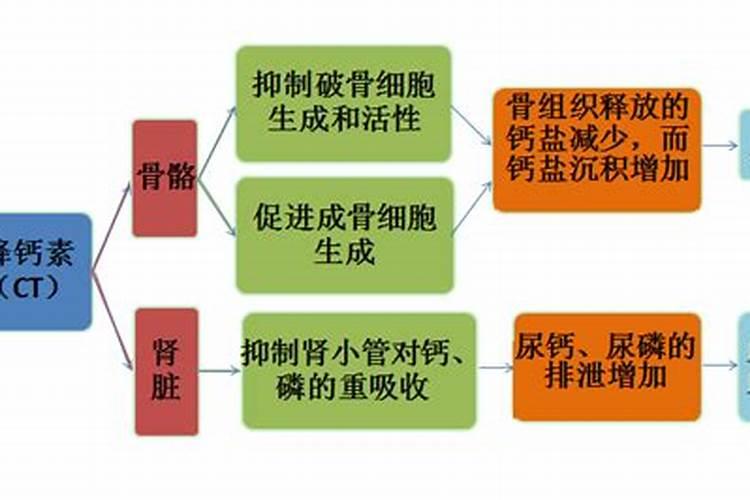 柑橘挂果用什么钙肥比较好？