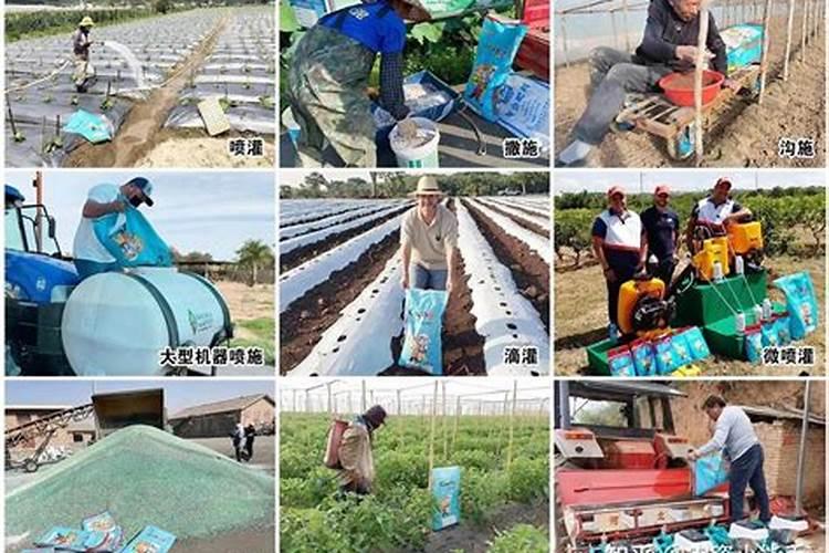 畅销全球46国的颗粒水溶肥