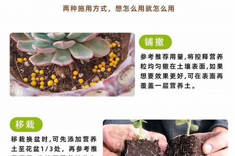 碳酸铵和碳酸氢按在化学性质上有什么区别