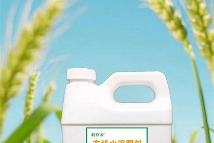 花生用什么叶面肥好 花生施肥注意事项