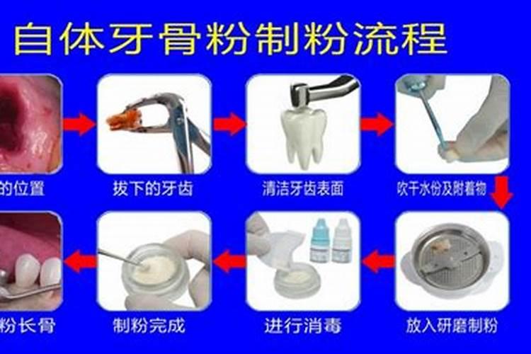 鸡汁包子馅做法