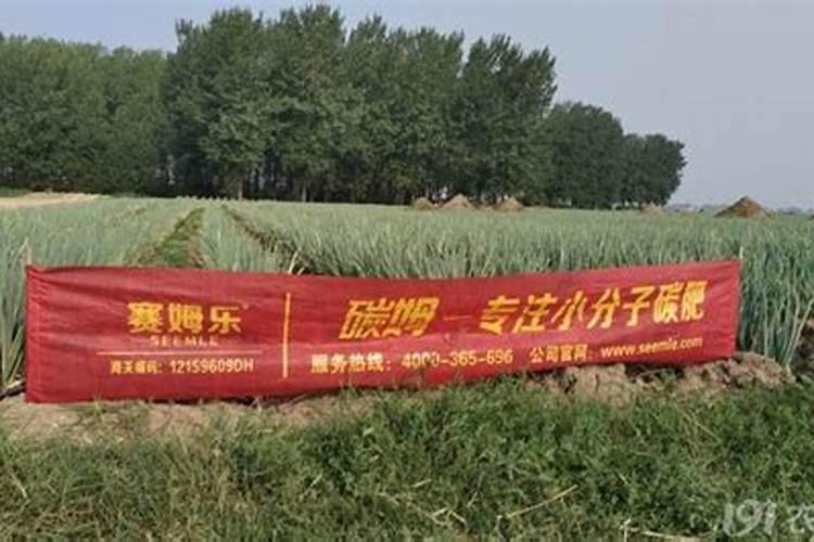 我想请问一下氮肥、磷肥(磷酸二铵)、钾肥(氯化钾)的价格分别是多少