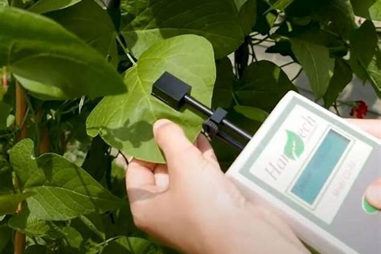 中量元素水溶肥怎么抗寒？