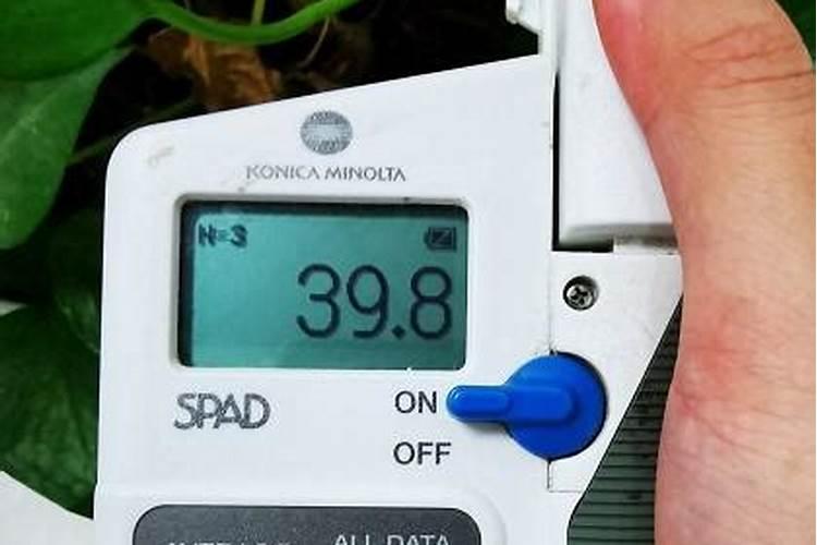 农用叶绿素的使用方法