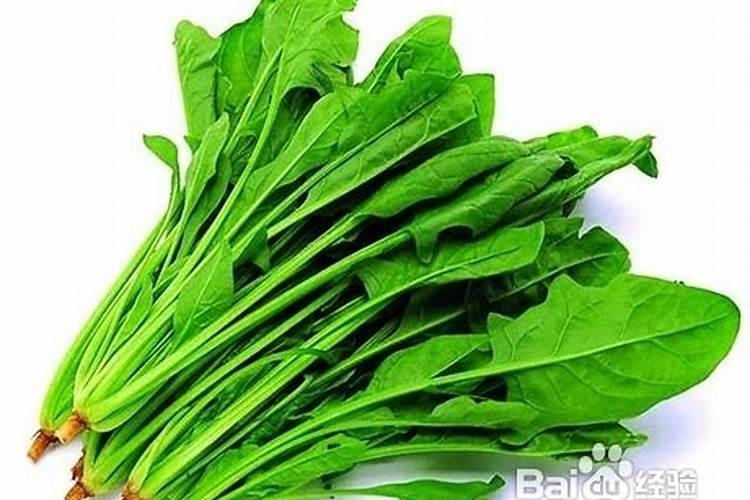 植物激素和植物生长调节剂有什么区别