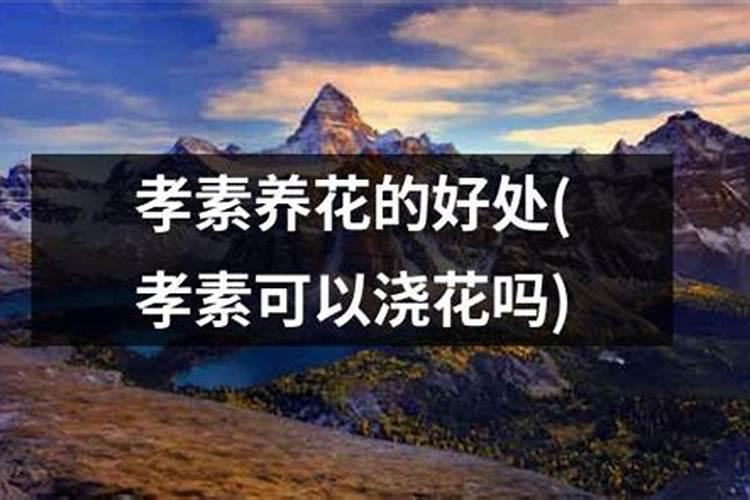 盐碱地种什么庄稼最好