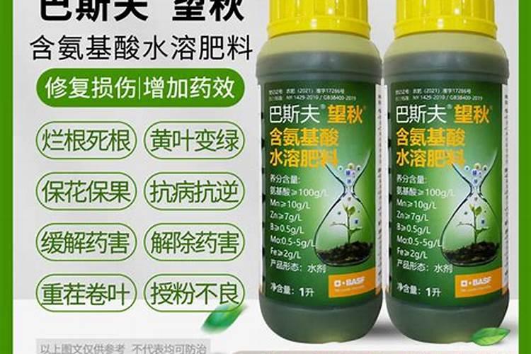 以色列进口水溶肥有哪些品牌,巴格尔水溶肥怎么样？
