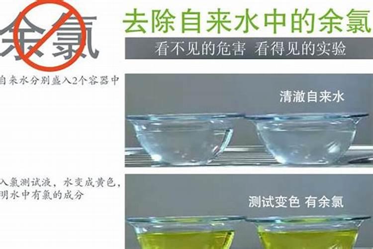 氨水是混合物还是纯净物？