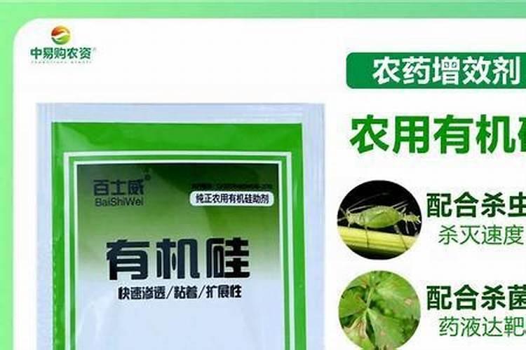 草莓摘完果以后用什么肥料好？