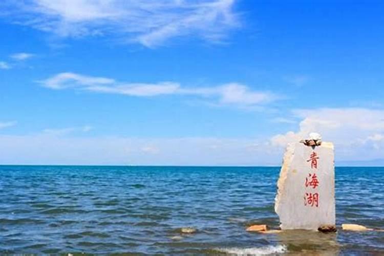 三角梅施肥用什么肥料