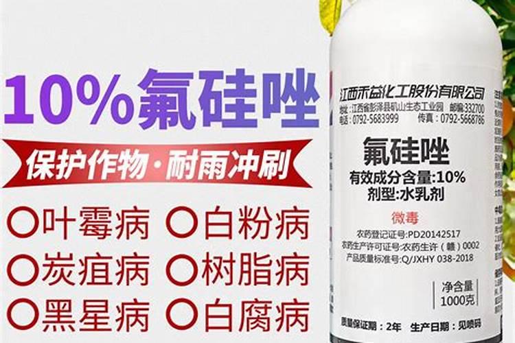 草莓苗移栽时用什么药蘸根最好？