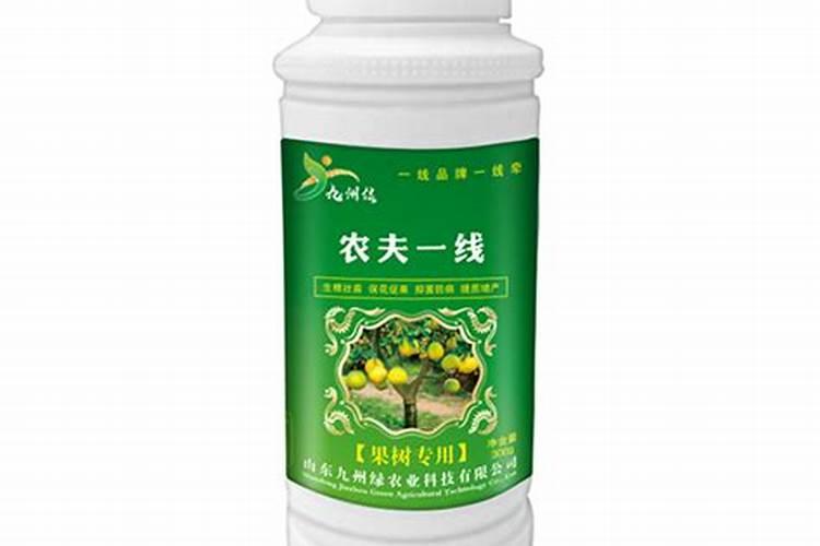 松塔和松叶有什么药用.治什么病
