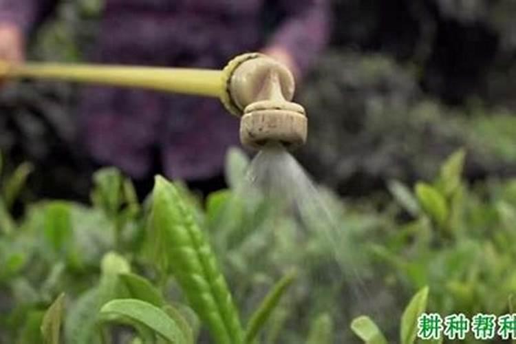 初中化学 氮肥的简易鉴别 今天急需,快!!!