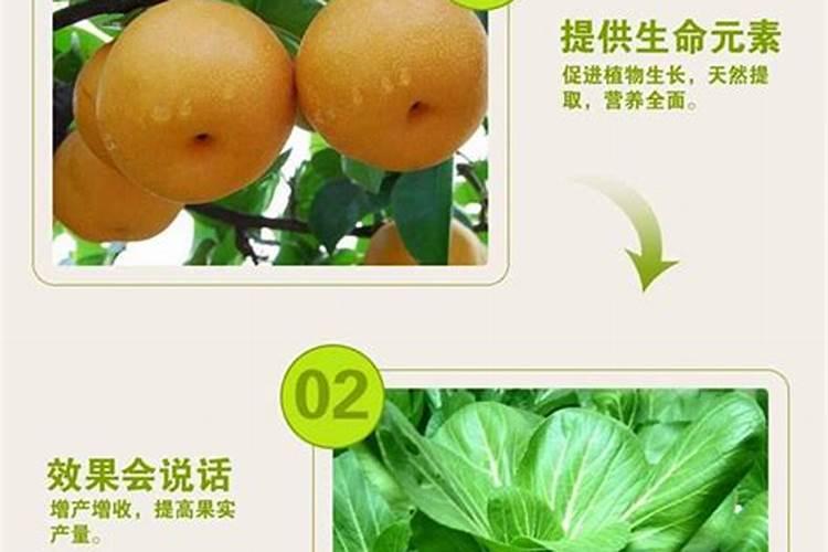 磷肥哪个牌子好