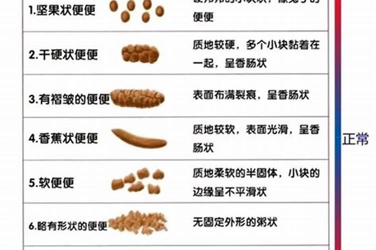 口碑比较好的国产猫粮