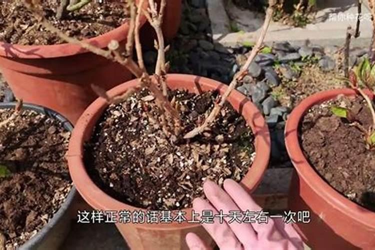 芭田16一6一23的复合肥多少钱