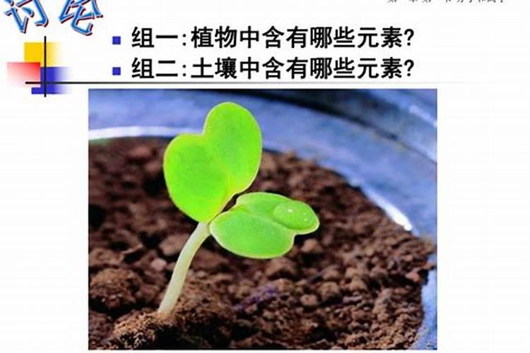 大粪浇菜能吃吗