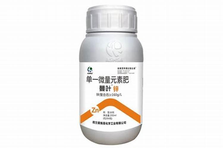 八角树几年结果实
