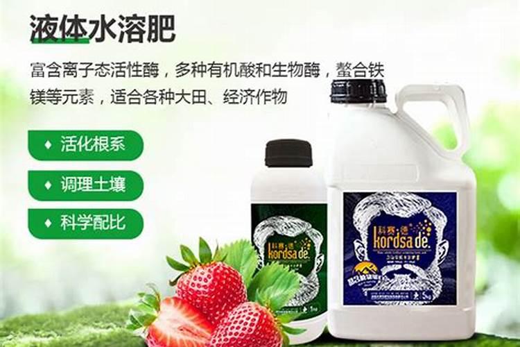 杜鹃花在开花期间如何浇水施肥？