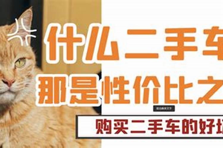猪粪能直接给果树施肥吗有什么坏处