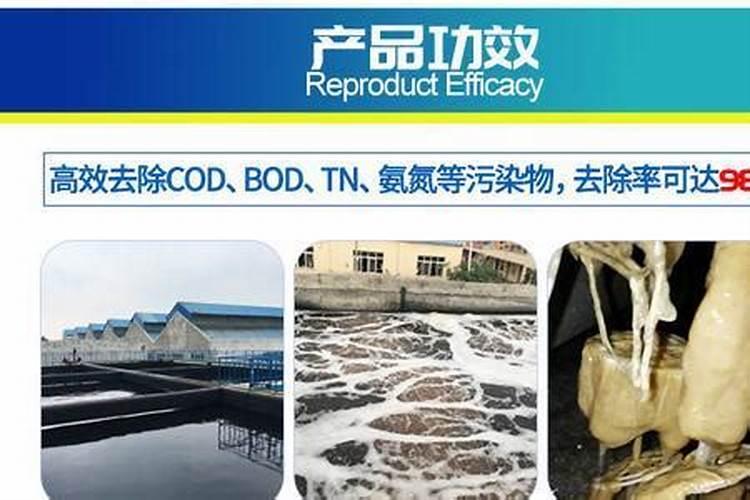 索福德(上海)体育发展有限公司怎么样？