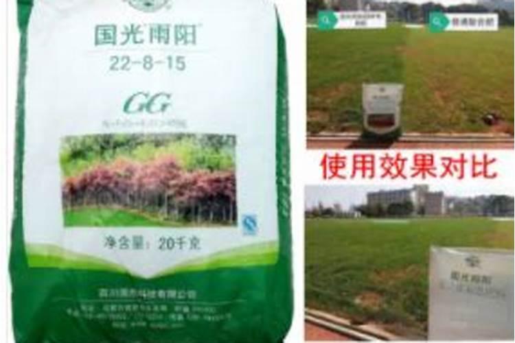 橘子没成熟是什么样子的