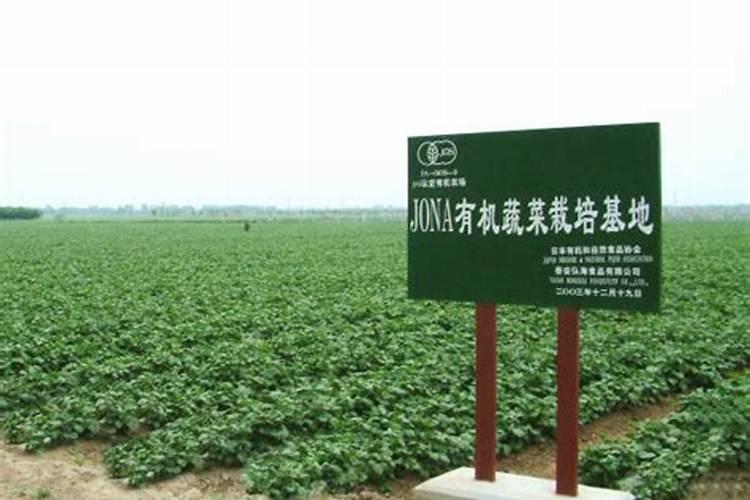 史丹利吊打营养液批发价多少