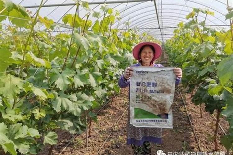 自制水溶肥配方比例