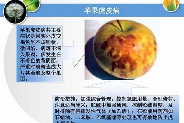 华强化工 强农工程:有机无机螯合肥全新上市,华强化工助力农业绿色发展...