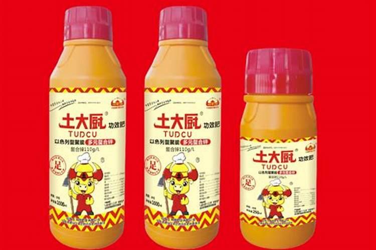 多肉缓释肥一盆放几粒