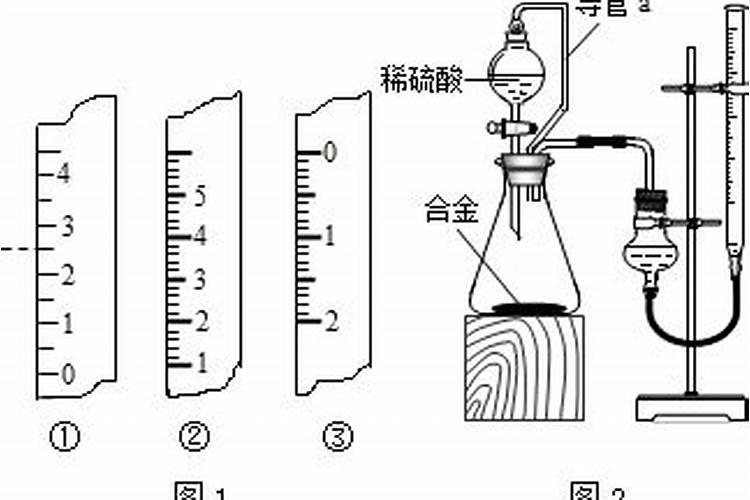 镁的相对原子质量