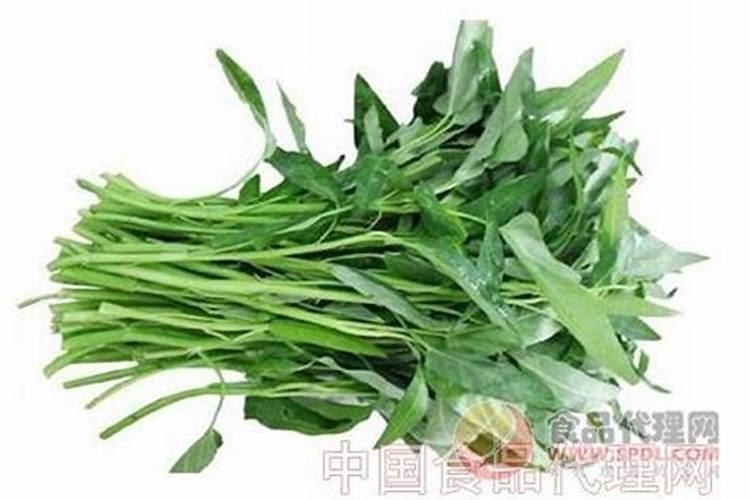 蟹爪兰一年开几次花