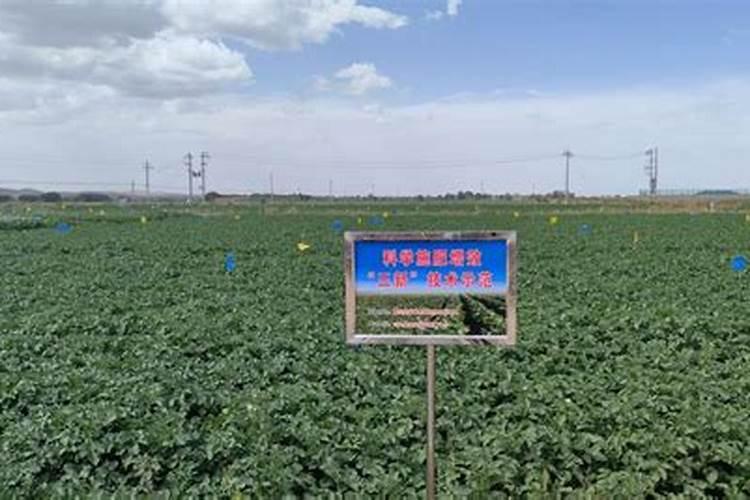 甘肃星硕生物科技有限公司怎么样？