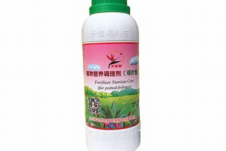 石楠苗要多长叶子用什么叶面肥好？