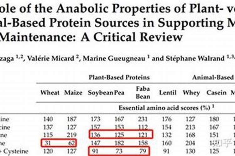 鱼蛋白的做法都有什么呢？
