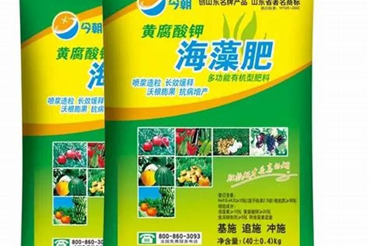 用什么肥料能让农作物快速生根？