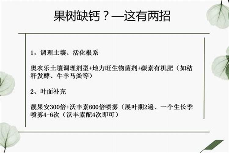 兰花用什么肥料最好