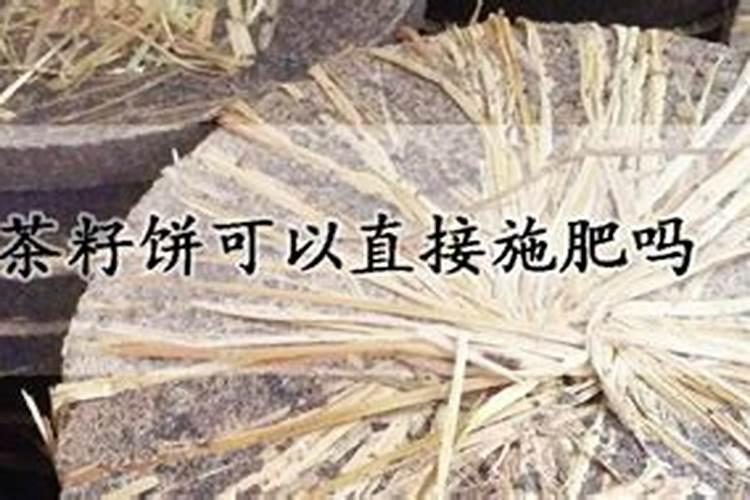 茶籽饼做肥料要怎么发酵