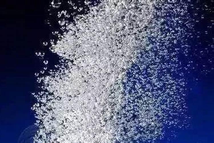 凤仙花生长周期谁知道