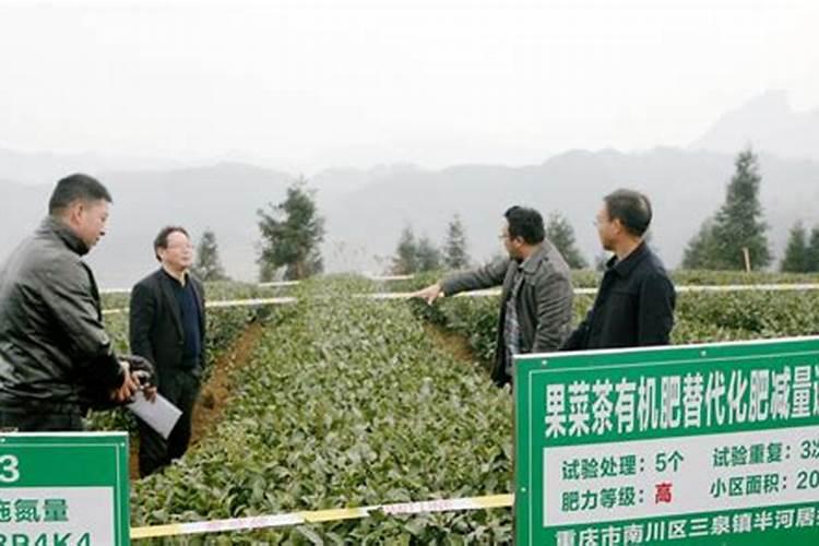 蔬菜常用的冲施肥有哪些