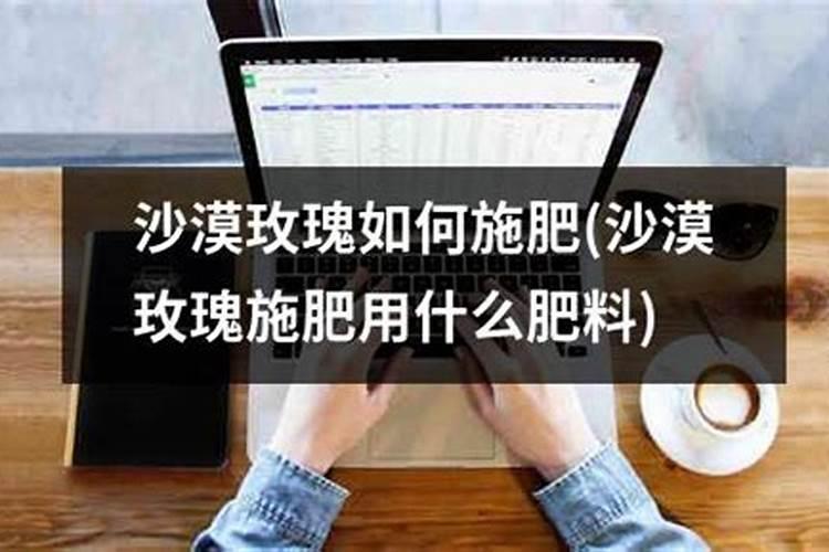 茶园施肥需要注意什么