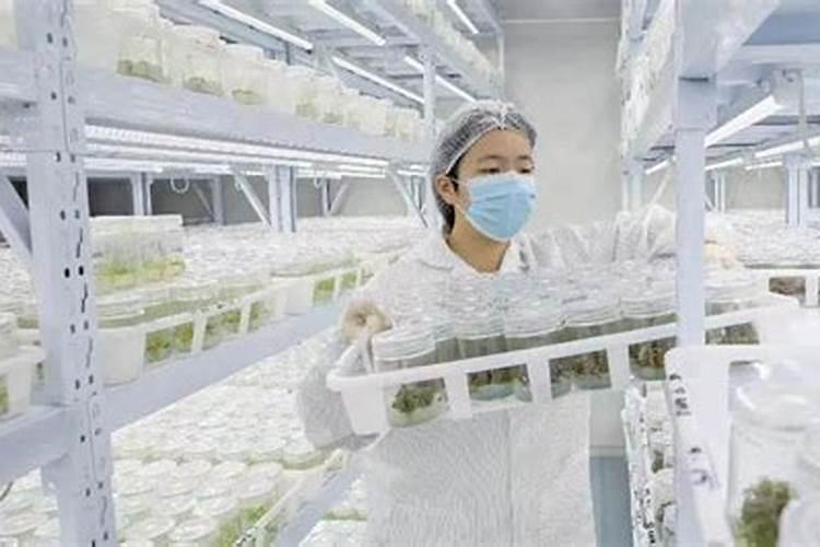 叶面肥价格一般是多少 如何选购好用的叶面肥料