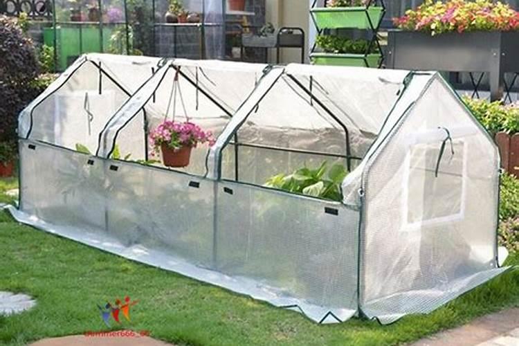 我是种棚的的,今天有人推销颗粒水溶肥,请问这个颗粒水溶肥的标准是什么...