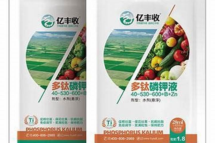 冬枣树施什么底肥好