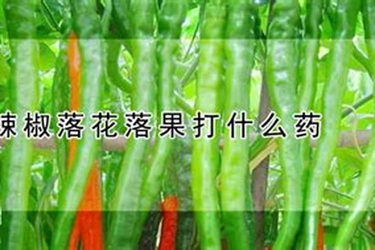 硼肥什么时候施肥最好