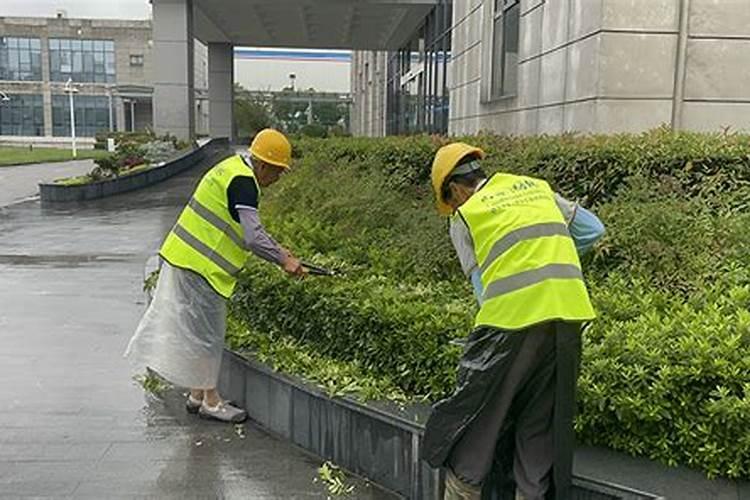 园林植物养护管理的技巧和注意事项 园林植物养护管理的技巧及注意事项...