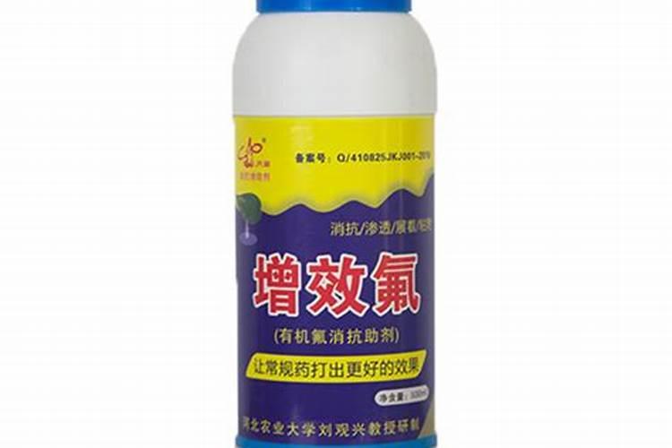 樱桃膨果期使用什么肥