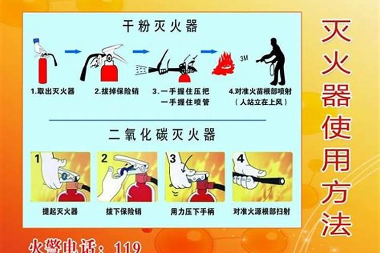 露天草莓苗什么时候种植最好