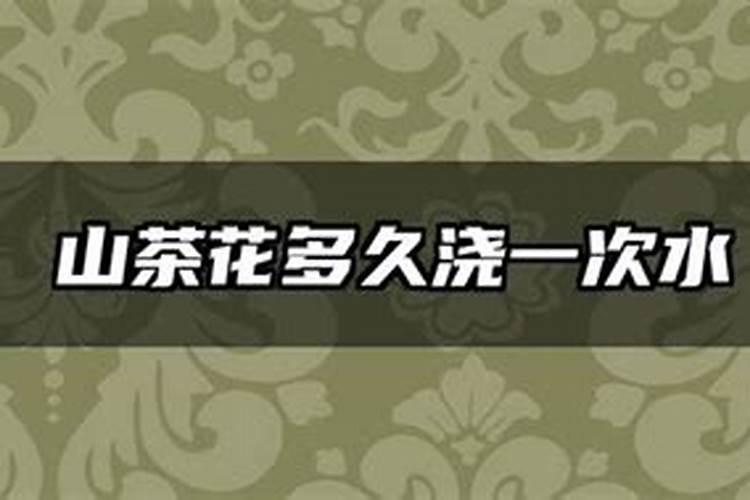 土豆能打芸苔素吗